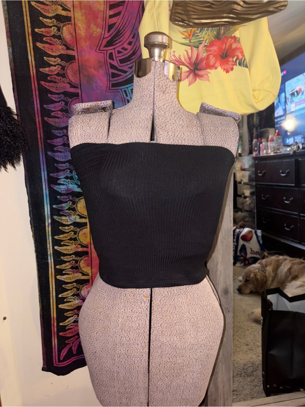 American Eagle Black Strapless Ribbed Tube Top - Women